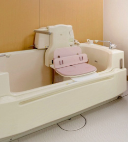shower and tub transfer bench